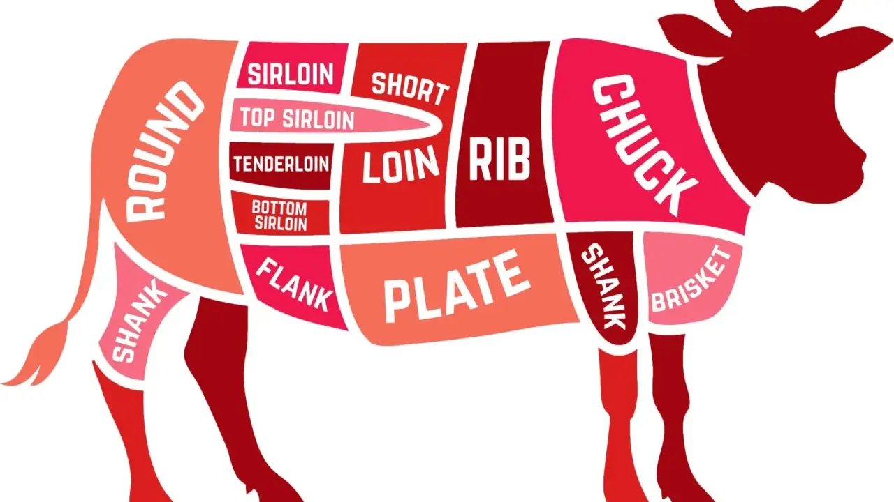 Schema dei tagli di carne bovina, evidenziato il codone di manzo (sirloin) e altre parti come chuck, rib, loin, flank, plate, brisket e shank.