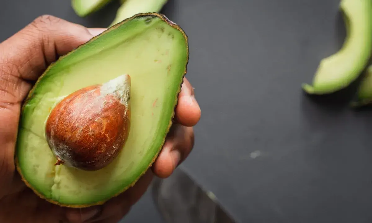 Mano che tiene mezzo avocado maturo con nocciolo. Ecco come si mangia l'avocado: fresco, spalmato o in insalata.