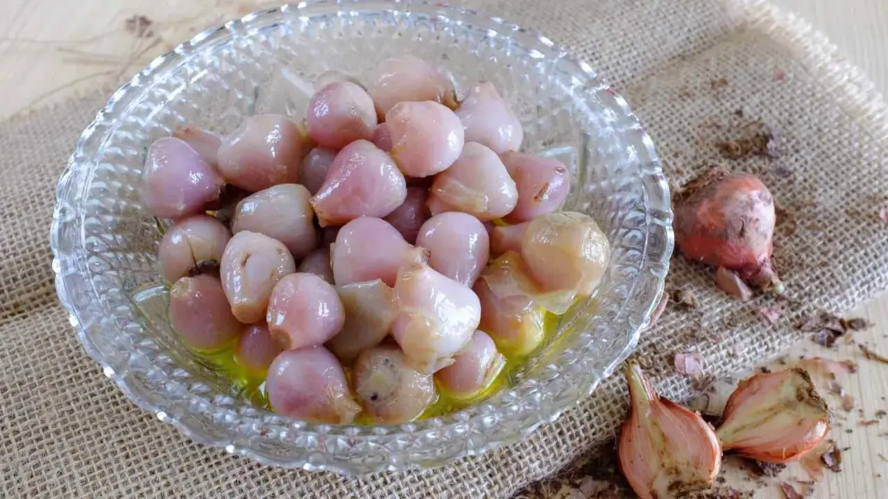 Lampascioni, bulbosi e saporiti, in una ciotola di vetro. Cosa sono? Delizie pugliesi sott'olio.