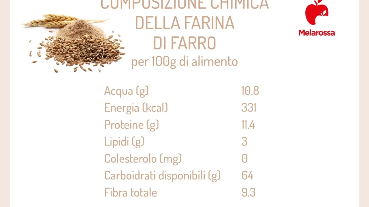 Composizione chimica della farina di farro per 100g: 10.8g acqua, 331 kcal energia, 11.4g proteine, 3g lipidi, 0mg colesterolo, 64g carboidrati, 9.3g fibra.