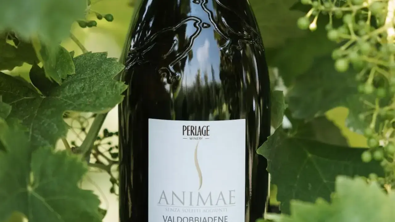 Prosecco Valdobbiadene DOCG "Animæ" senza solfiti aggiunti. I solfiti cosa sono? Conservanti naturali nel vino.