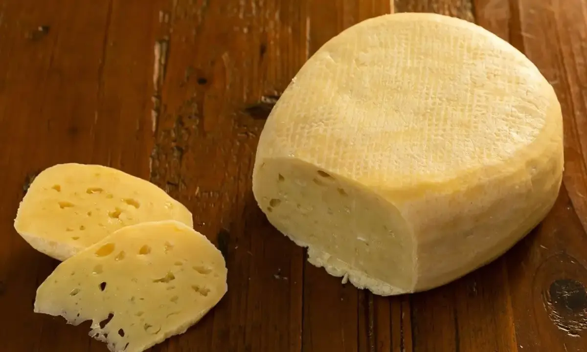 Formaggio di fossa, un sapore antico. Un pezzo di formaggio stagionato e due fette su un tavolo di legno rustico.