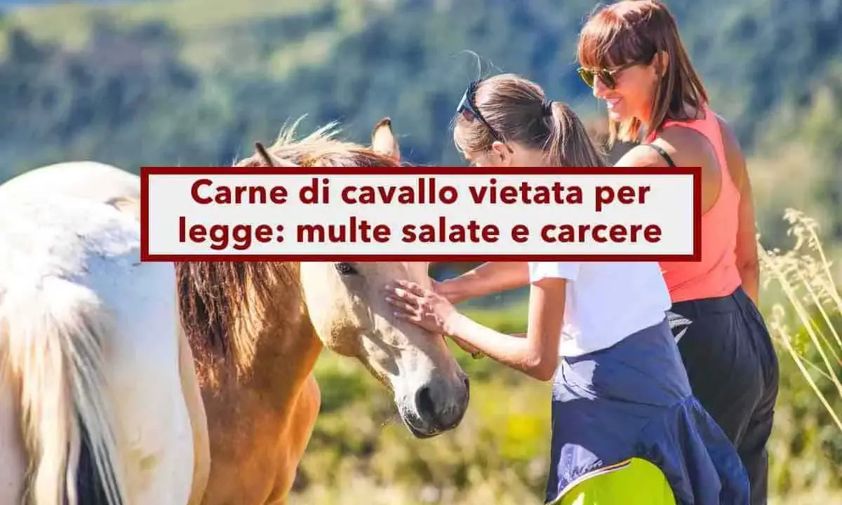 Due donne accarezzano un cavallo. Sopra, un cartello rosso e bianco avverte: "Carne di cavallo vietata per legge: multe salate e carcere".