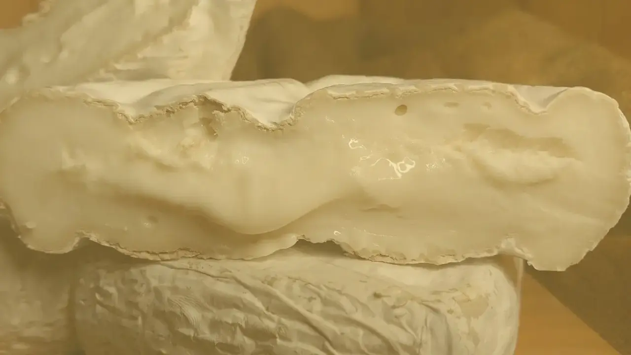 Formaggio di capra cremoso, con una crosta bianca e un interno morbido. Un piacere per il palato, da gustare con moderazione per il colesterolo.