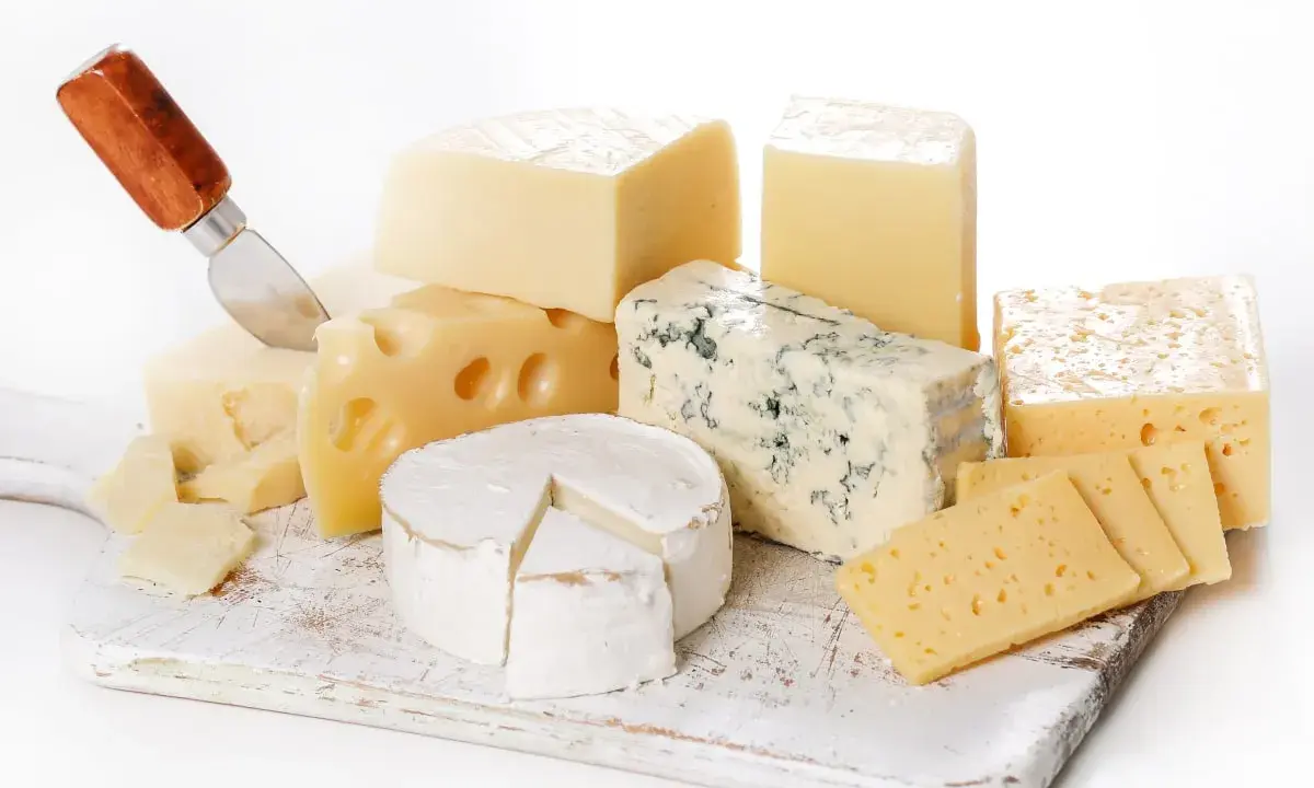 Varietà di formaggi senza lattosio: un pezzo di formaggio erborinato, un brie, formaggi a pasta dura e svizzero, pronti per essere gustati.