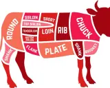Schema dei tagli di carne bovina, evidenziato il codone di manzo (sirloin) e altre parti come chuck, rib, loin, flank, plate, brisket e shank.