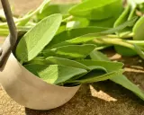 Foglie di salvia fresca in un mestolo, pronte per essere conservate. Un modo semplice per preservare il loro aroma.