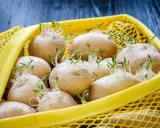 Patate germogliate in una retina gialla. Per capire come conservare le patate, osserva questi germogli: indica che sono pronte per essere piantate o consumate presto.