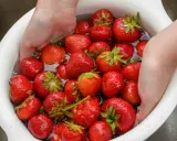 Mani che lavano fragole rosse in una ciotola bianca piena d'acqua. Un modo semplice per preparare questo frutto delizioso.