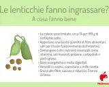 Le lenticchie fanno ingrassare? No, sono ricche di fibre, nutrienti e saziano. Ottime per la salute!
