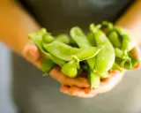 Mani che stringono baccelli di piselli freschi. Nonostante la loro apparenza salutare, c'è chi dice che i piselli fanno ingrassare.