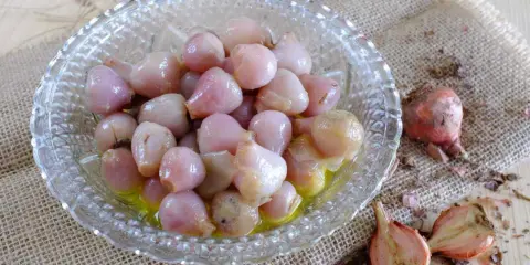 Lampascioni, bulbosi e saporiti, in una ciotola di vetro. Cosa sono? Delizie pugliesi sott'olio.