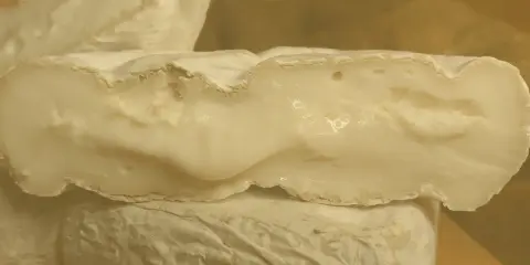 Formaggio di capra cremoso, con una crosta bianca e un interno morbido. Un piacere per il palato, da gustare con moderazione per il colesterolo.
