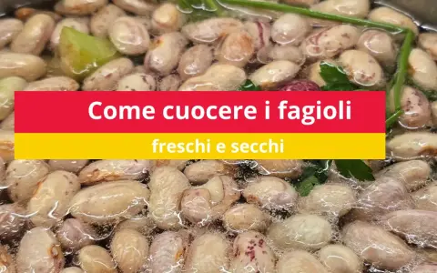 Fagioli borlotti in ammollo, pronti per la cottura. Impara come cuocere i fagioli secchi per un piatto saporito.