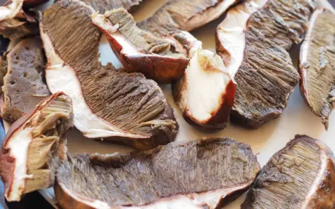 Fette di funghi porcini pronti per essere cucinati in padella, con le lamelle ben visibili.