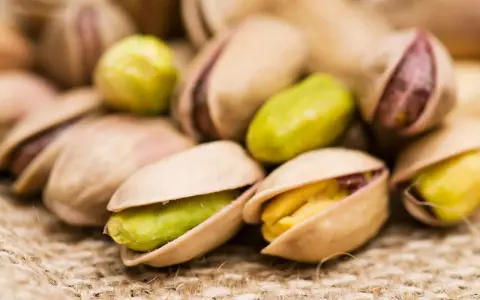 Un mucchio di pistacchi, alcuni aperti rivelano il loro interno verde e giallo. Attenzione, i pistacchi fanno ingrassare!