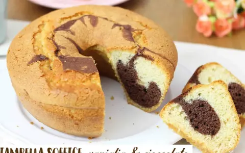 Ciambellone soffice alla vaniglia e cioccolato, con una fetta tagliata che mostra l'interno marmorizzato.