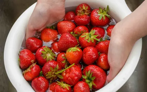 Mani che lavano fragole rosse in una ciotola bianca piena d'acqua. Un modo semplice per preparare questo frutto delizioso.