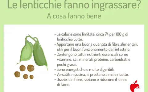 Le lenticchie fanno ingrassare? No, sono ricche di fibre, nutrienti e saziano. Ottime per la salute!