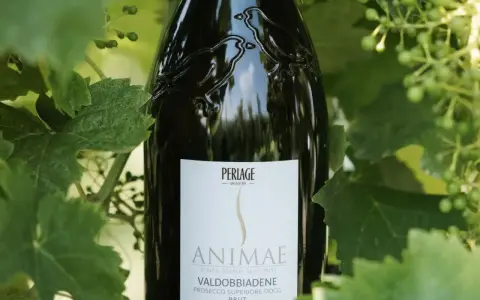 Prosecco Valdobbiadene DOCG "Animæ" senza solfiti aggiunti. I solfiti cosa sono? Conservanti naturali nel vino.