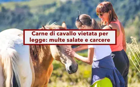 Due donne accarezzano un cavallo. Sopra, un cartello rosso e bianco avverte: "Carne di cavallo vietata per legge: multe salate e carcere".