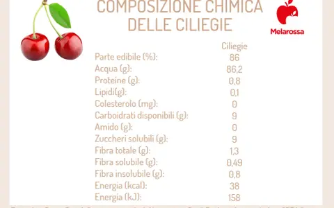 Due ciliegie rosse brillanti, con accanto la tabella nutrizionale che conferma: le ciliegie fanno bene, ricche di acqua e fibre.