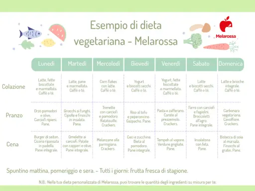 Esempio di dieta vegetariana: cosa mangia un vegetariano a pranzo, cena e colazione, con piatti gustosi e sani.