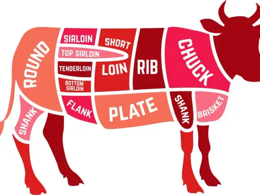 Schema dei tagli di carne bovina, evidenziato il codone di manzo (sirloin) e altre parti come chuck, rib, loin, flank, plate, brisket e shank.
