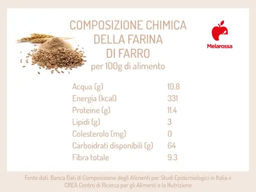 Composizione chimica della farina di farro per 100g: 10.8g acqua, 331 kcal energia, 11.4g proteine, 3g lipidi, 0mg colesterolo, 64g carboidrati, 9.3g fibra.