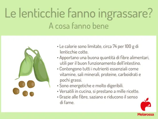 Le lenticchie fanno ingrassare? No, sono ricche di fibre, nutrienti e saziano. Ottime per la salute!