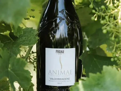 Prosecco Valdobbiadene DOCG "Animæ" senza solfiti aggiunti. I solfiti cosa sono? Conservanti naturali nel vino.