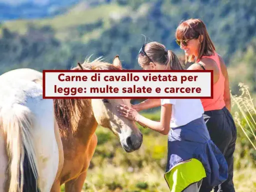 Due donne accarezzano un cavallo. Sopra, un cartello rosso e bianco avverte: "Carne di cavallo vietata per legge: multe salate e carcere".