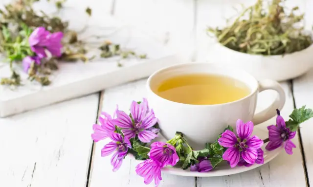 Una tazza di tisana alla malva, decorata con fiori viola, pronta a donare i suoi benefici.