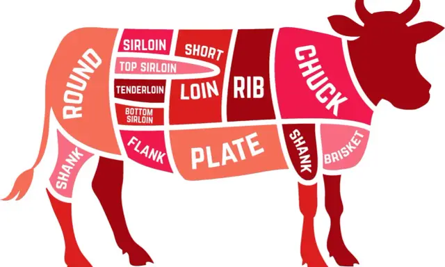 Schema dei tagli di carne bovina, evidenziato il codone di manzo (sirloin) e altre parti come chuck, rib, loin, flank, plate, brisket e shank.