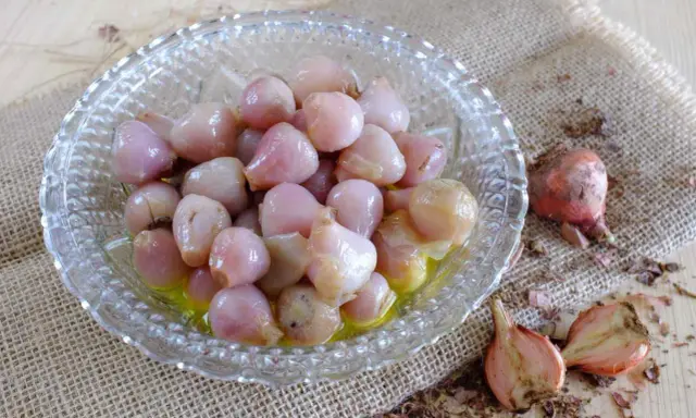 Lampascioni, bulbosi e saporiti, in una ciotola di vetro. Cosa sono? Delizie pugliesi sott'olio.