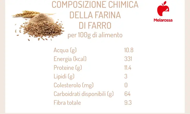 Composizione chimica della farina di farro per 100g: 10.8g acqua, 331 kcal energia, 11.4g proteine, 3g lipidi, 0mg colesterolo, 64g carboidrati, 9.3g fibra.