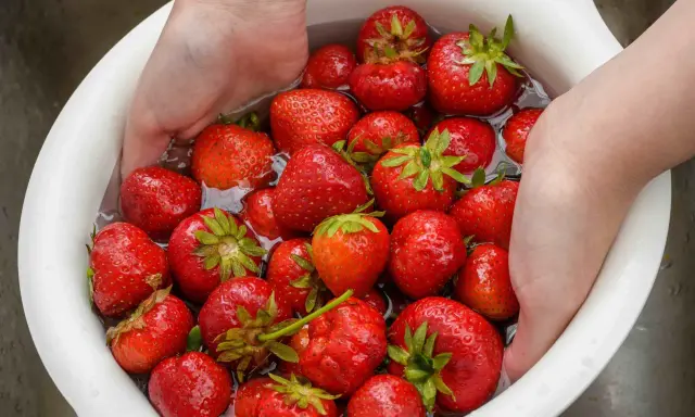 Mani che lavano fragole rosse in una ciotola bianca piena d'acqua. Un modo semplice per preparare questo frutto delizioso.