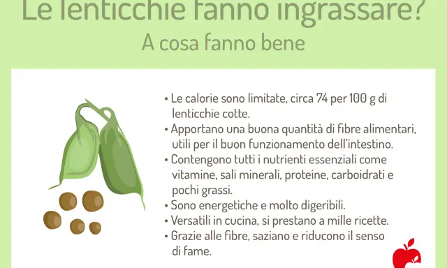 Le lenticchie fanno ingrassare? No, sono ricche di fibre, nutrienti e saziano. Ottime per la salute!