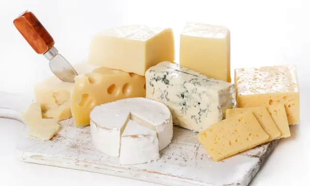 Varietà di formaggi senza lattosio: un pezzo di formaggio erborinato, un brie, formaggi a pasta dura e svizzero, pronti per essere gustati.