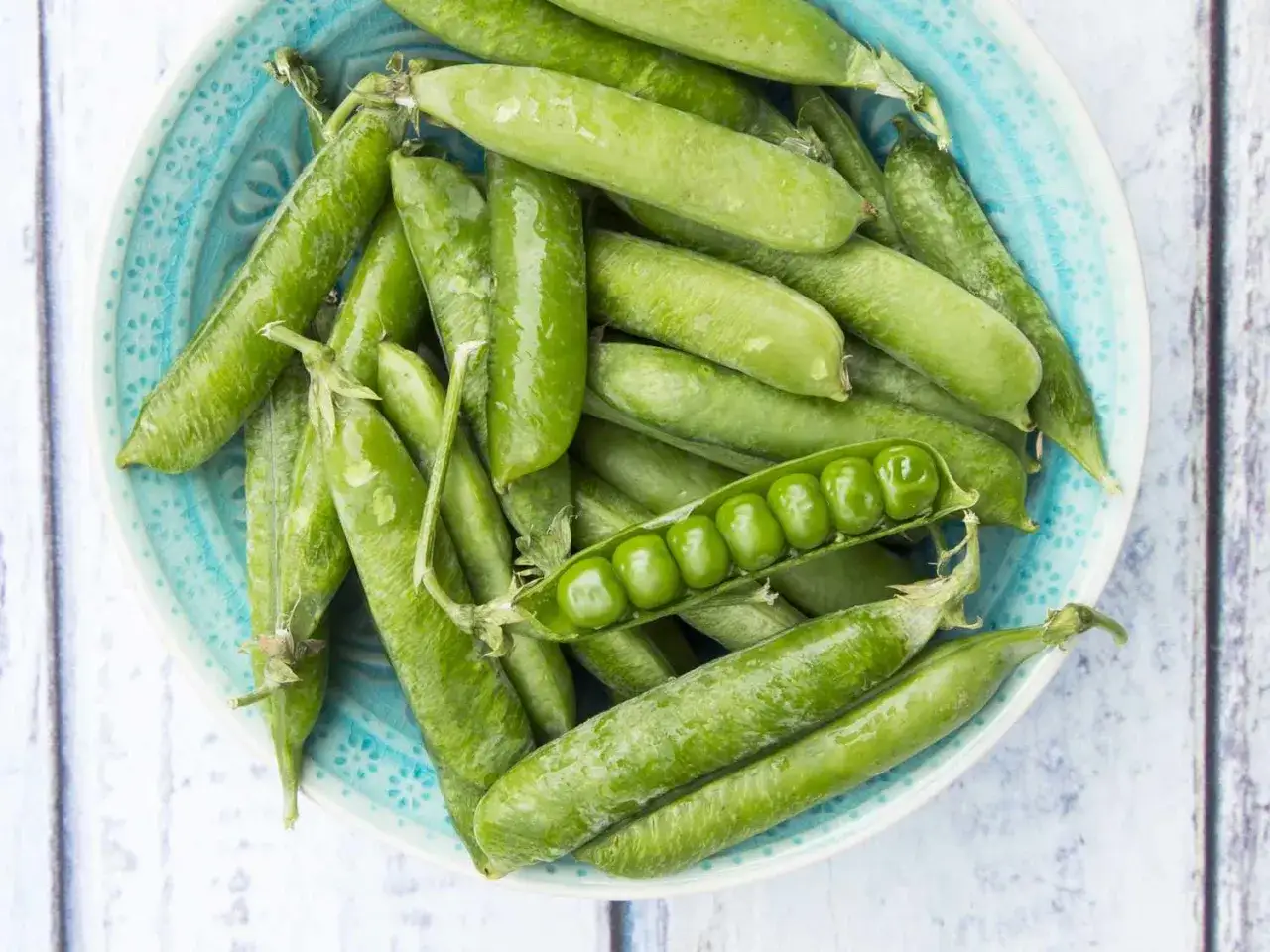 Un piatto di piselli freschi, alcuni ancora nel baccello, altri aperti a mostrare i chicchi. Attenzione, i piselli fanno ingrassare se mangiati in grandi quantit&agrave;!