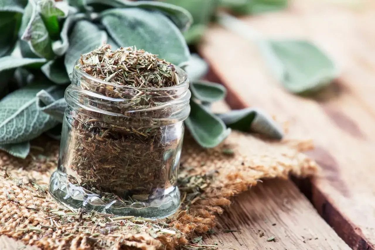 Un barattolo di vetro pieno di salvia essiccata, un metodo per conservare la salvia. Foglie fresche di salvia sullo sfondo.