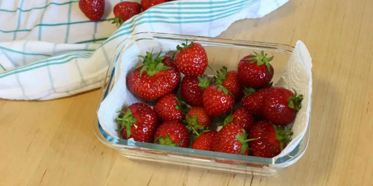 Fragole fresche in contenitore di vetro con carta assorbente, un modo semplice per capire come conservare le fragole pi&ugrave; a lungo.