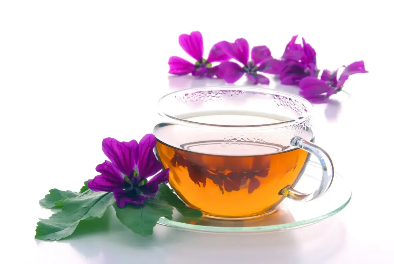 Tisana alla malva: un infuso dorato in tazza di vetro, decorato con fiori viola e foglie verdi. Scopri i tisana alla malva benefici.