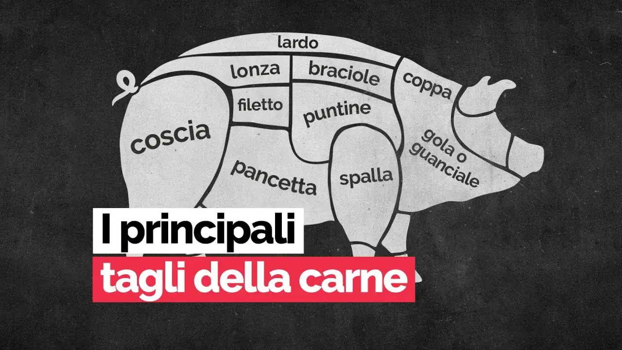Tagli di maiale: dalla coscia al filetto, scopri la differenza tra maiale carne bianca o rossa.