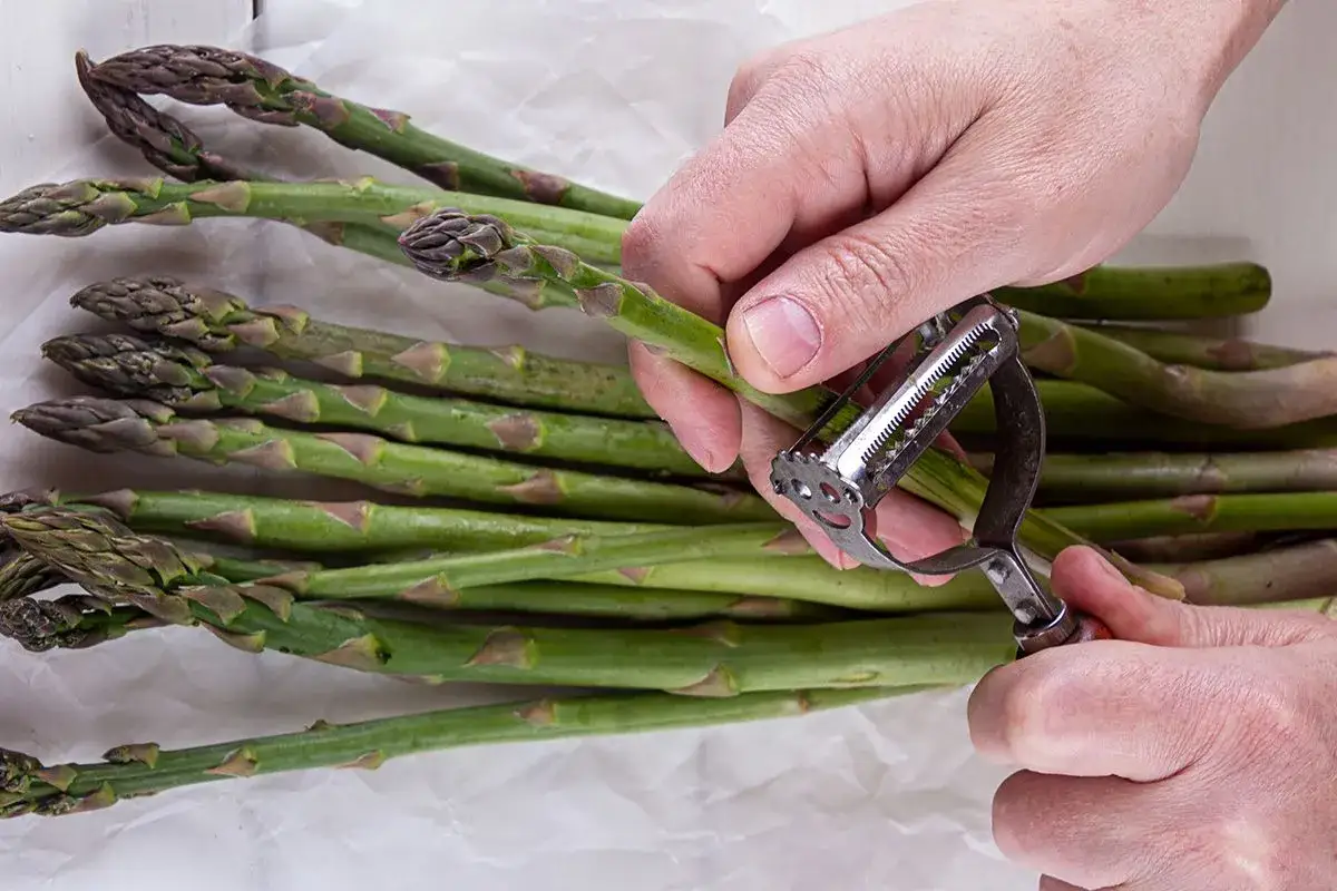 Mani che pelano asparagi freschi, pronti per la cottura. Il tempo cottura asparagi &egrave; breve per mantenerli croccanti.