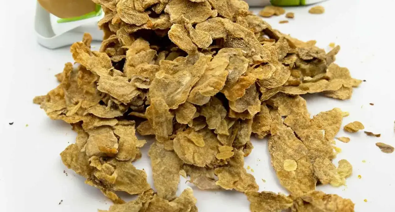 Un mucchio di cicoli croccanti, cosa sono? Sono scarti di maiale fritti, un sapore unico.