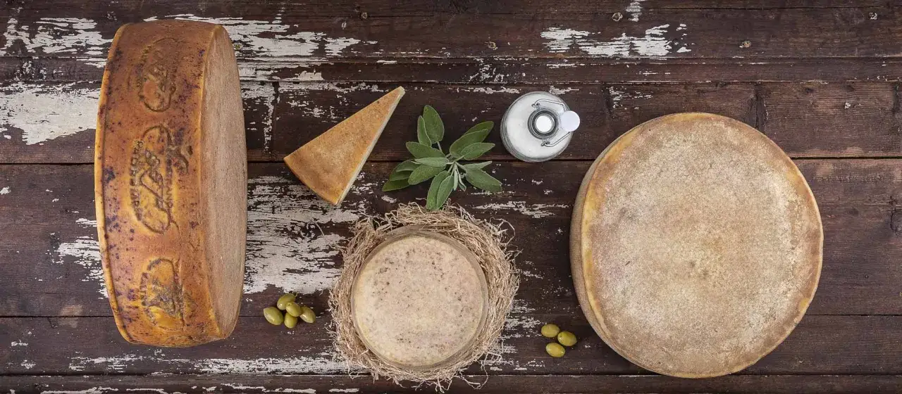 Variet&agrave; di formaggi senza lattosio, tra cui forme intere e spicchi, disposti su un tavolo di legno rustico con olive e salvia.