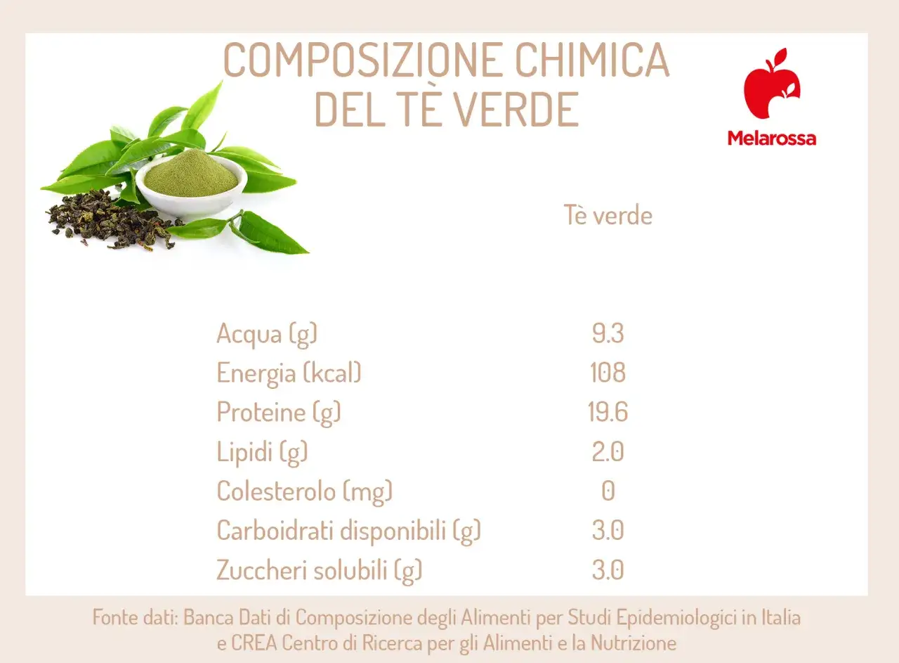 Composizione chimica del tè verde, con un elenco dei suoi componenti nutrizionali. Scopri i te verde benefici per la tua salute.