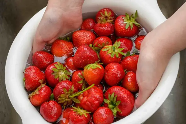 Mani che lavano fragole rosse in una ciotola bianca piena d'acqua. Un modo semplice per preparare questo frutto delizioso.