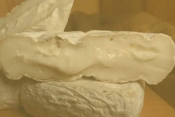 Formaggio di capra cremoso, con una crosta bianca e un interno morbido. Un piacere per il palato, da gustare con moderazione per il colesterolo.